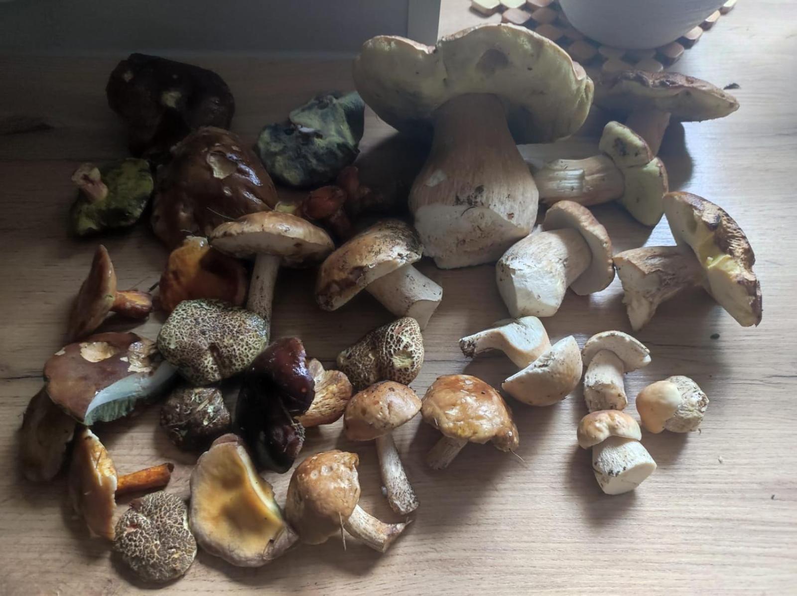 Drewniany Domek Daria i Tomek 2 domki na 8 osób Stronie Śląskie Zewnętrze zdjęcie
